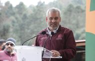 Bedolla celebra aumento de 99% de ocupación de la Monarca en bosques de Michoacán y México
