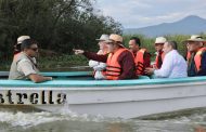 Próximo sábado inicia empleo temporal para conservar el Lago de Pátzcuaro: Bedolla