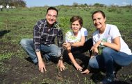 Zamora recibirá el distintivo de “Ciudad Árbol del Mundo”