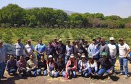 Realizan exposición y práctica en campo de Jacona para mostrar insumos y fertilizantes orgánicos