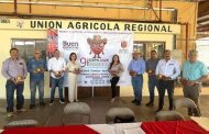 Gobierno de Jacona apoya la Novena Expo Berries 2025