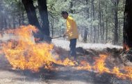 Controlado al 100 % el incendio forestal en Cojumatlán: Cofom