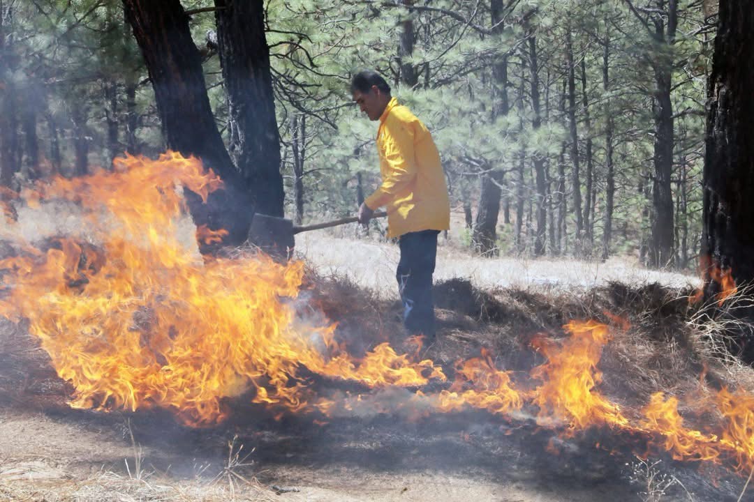 Controlado al 100 % el incendio forestal en Cojumatlán: Cofom