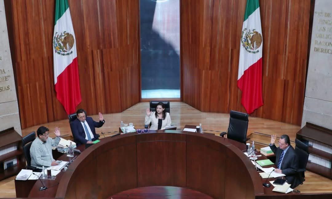 Partidos y gobierno podrán hacer campaña en elección judicial: TEPJF