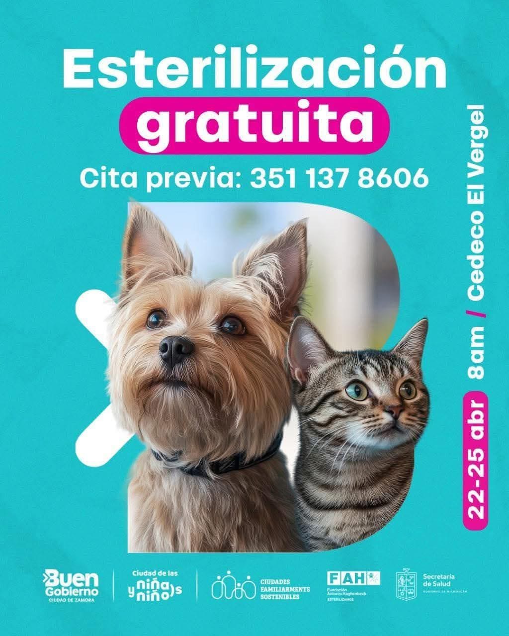 Gobierno de Zamora lanza campaña gratuita de esterilización de mascotas
