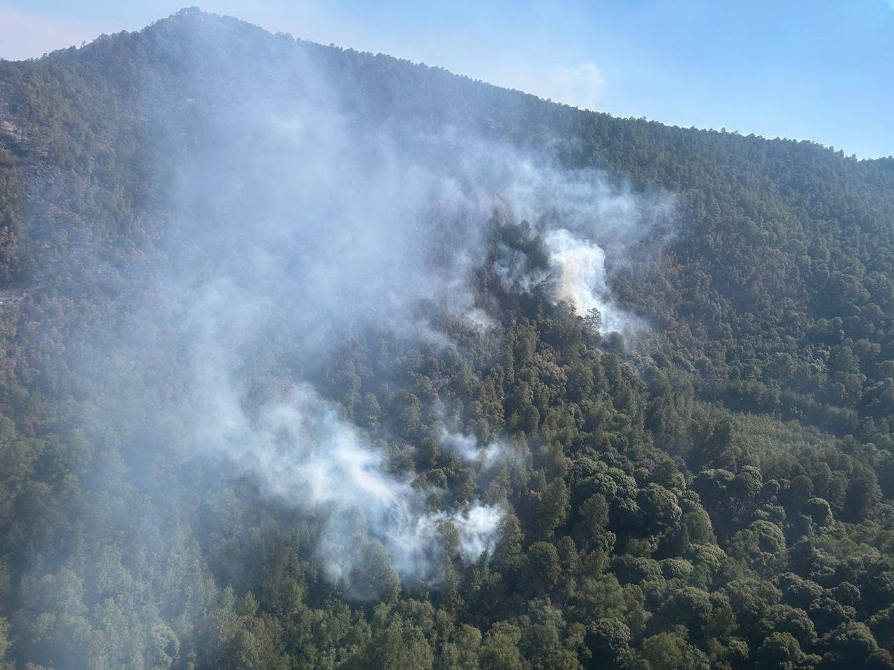 Controlado al 95 % el incendio en el Santuario de la Monarca en Senguio, Michoacán: Cofom
