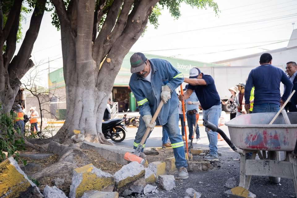 Mejoran imagen urbana en Arboledas Primera Sección con el programa de Faenas