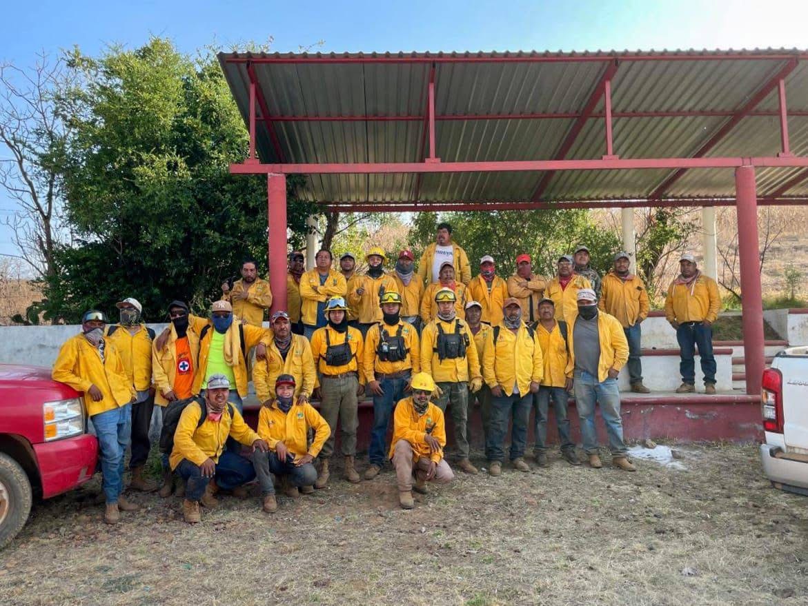 Brigadas forestales apagan 7 incendios: Cofom