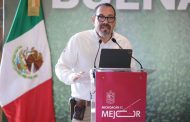 Libre de deforestación el 70 % del aguacate michoacano exportado a EU: Secma