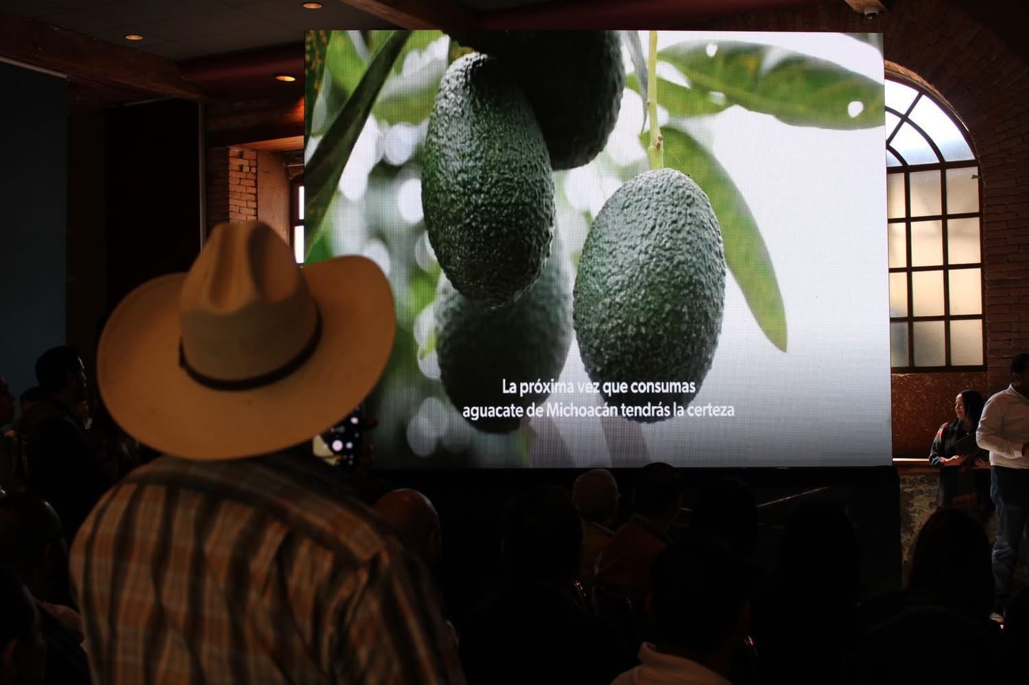 Empresa estadounidense comercializa aguacate libre de deforestación