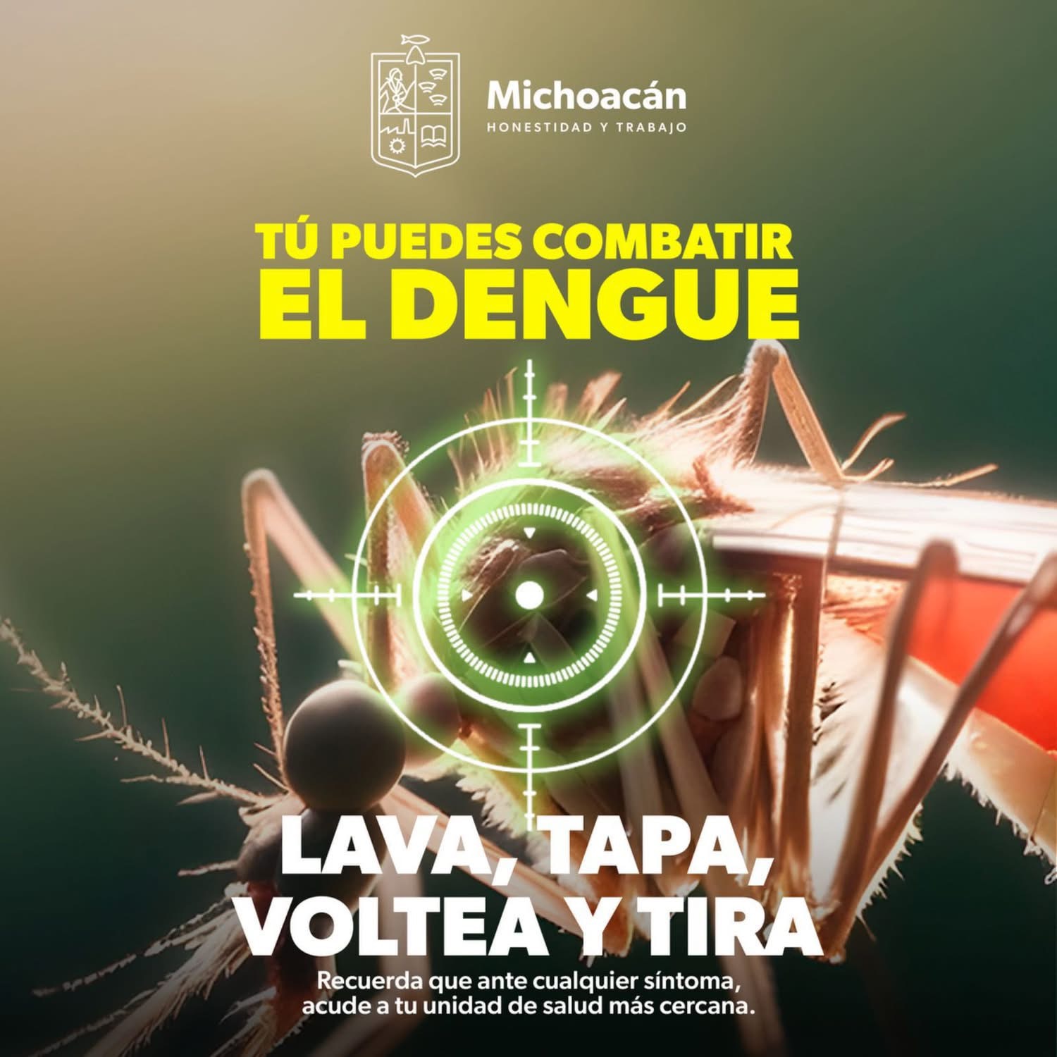 Bajan 65 % casos de dengue en Michoacán: SSM