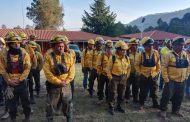 Brigadas forestales apagan cuatro incendios en Michoacán: Cofom