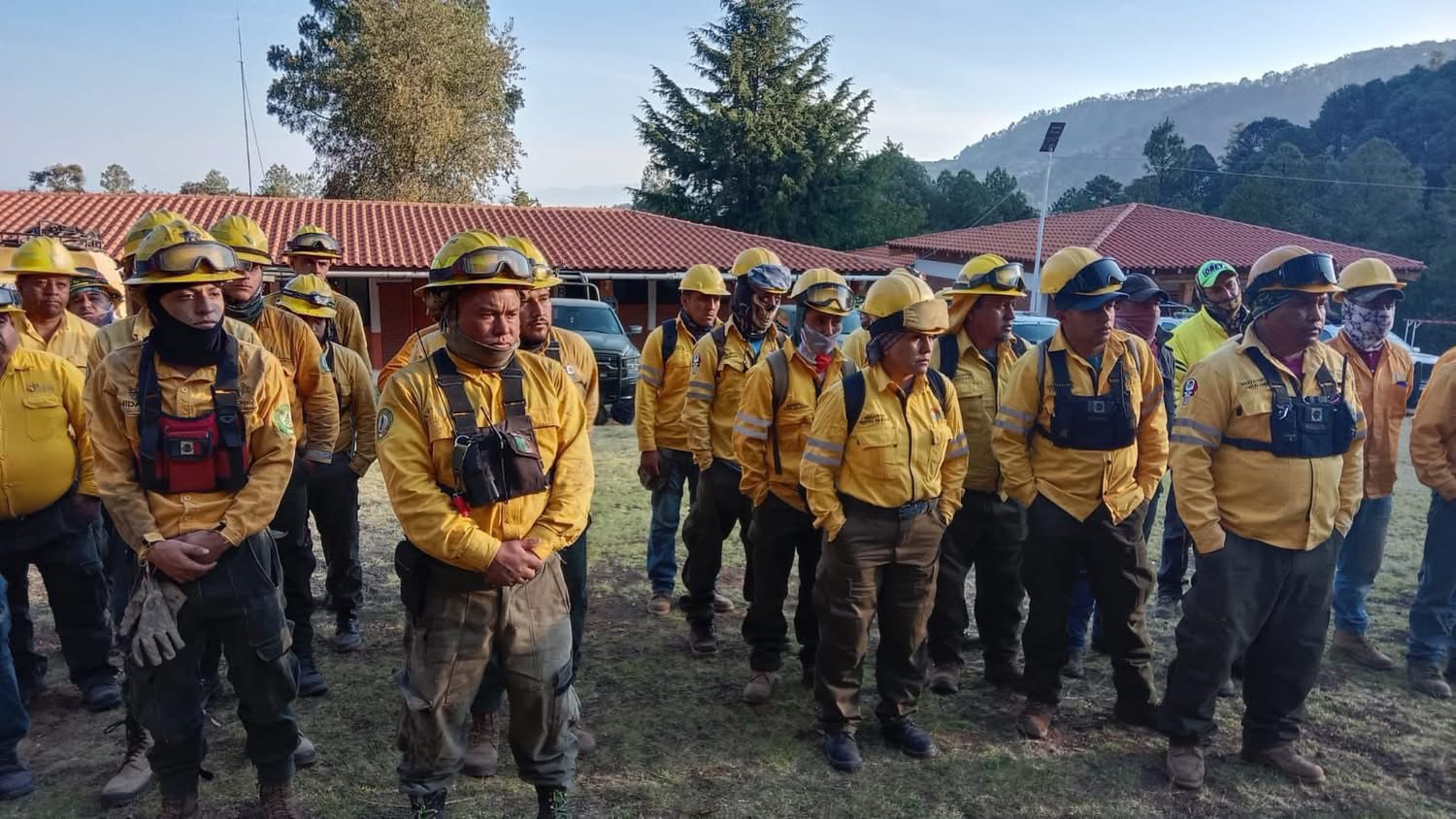 Brigadas forestales apagan cuatro incendios en Michoacán: Cofom
