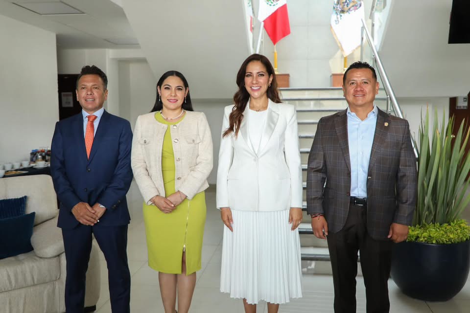 Acuerdan operativos y acciones permanentes conjuntas con Jalisco, Guanajuato y Colima: Torres Piña
