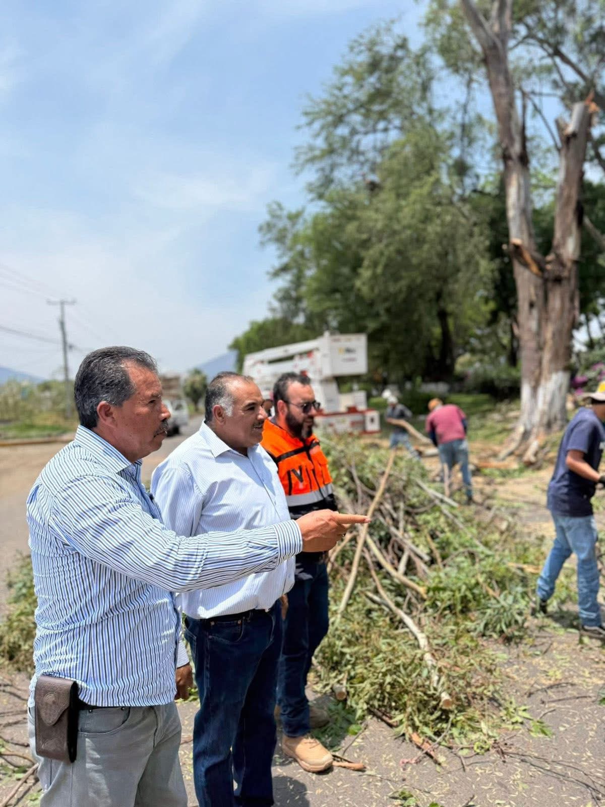 Supervisa Isidoro Mosqueda trabajos de poda y retiros de árboles en la Calzada Jacona