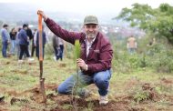 Bedolla anuncia plantación de 70 mil árboles en zona urbana de Uruapan
