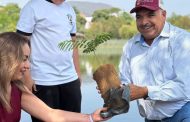 Inicia el Gobierno de Jacona REFORESTACIÓN MASIVA en el marco del “Dia Mundial del Medio Ambiente”.