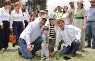 Arranca Bedolla reforestación 2025; despliega ejército verde para plantar 10 millones de árboles