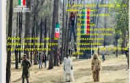 Ven a disfrutar de un día lleno de diversión y aprendizaje con la Defensa Nacional