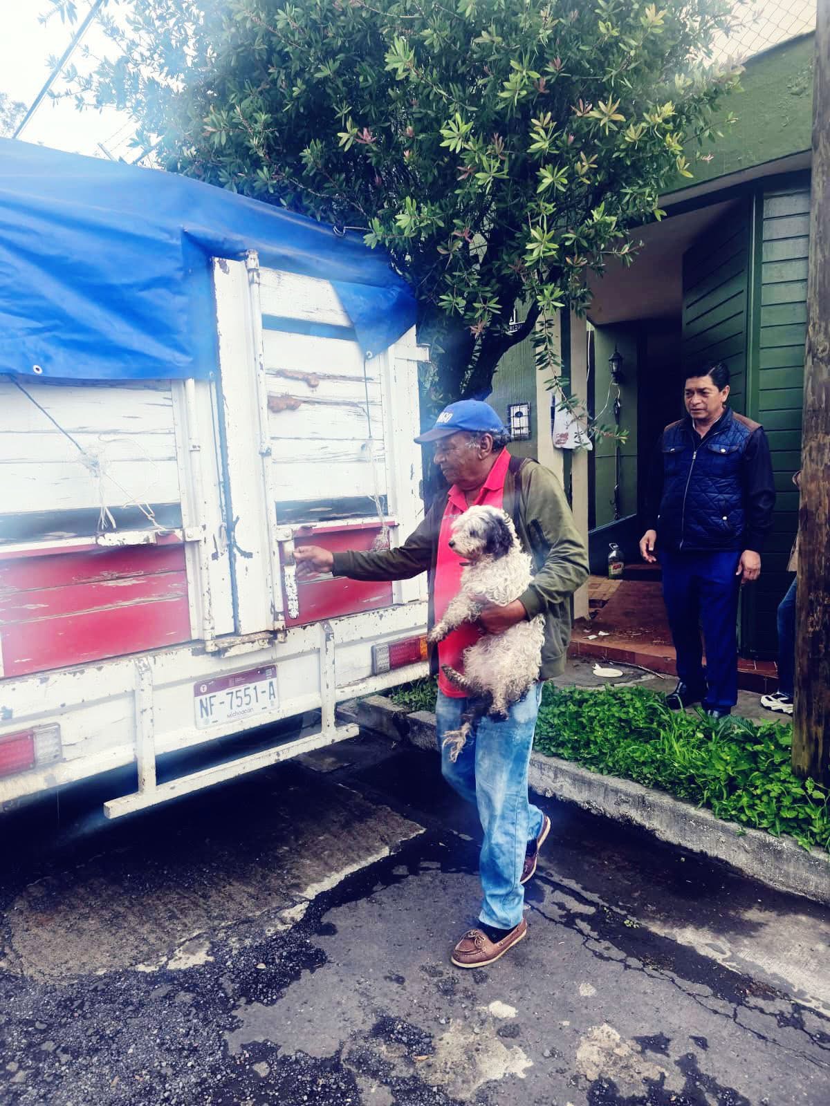 En cateo, rescata FGE a 11 ejemplares caninos víctimas de maltrato animal