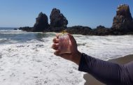 Playas de Michoacán son aptas para uso recreativo durante el verano