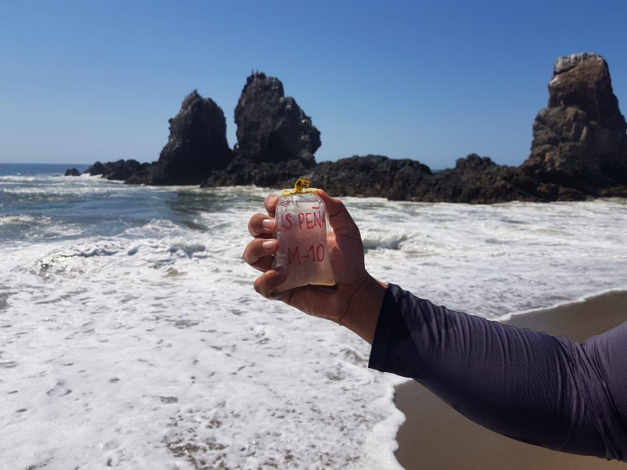 Playas de Michoacán son aptas para uso recreativo durante el verano