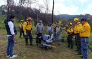 Michoacán siembra con drones 24 mil semillas de árboles en Paracho y Uruapan