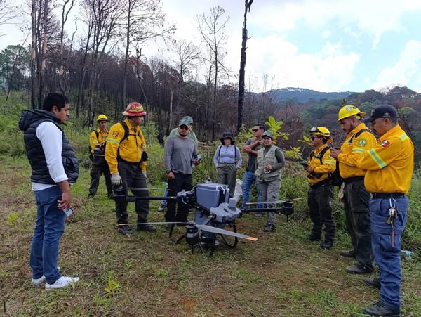 Michoacán siembra con drones 24 mil semillas de árboles en Paracho y Uruapan