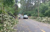 Tu seguridad es prioridad; reporta incidentes en carreteras y evita riesgos: SCOP