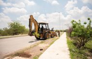 REALIZAN LABORES DE REFORESTACIÓN EN VARIOS ESPACIOS DE LA PIEDAD