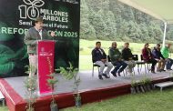 “Ejército verde” llega a 10 municipios de Michoacán con reforestación simultánea