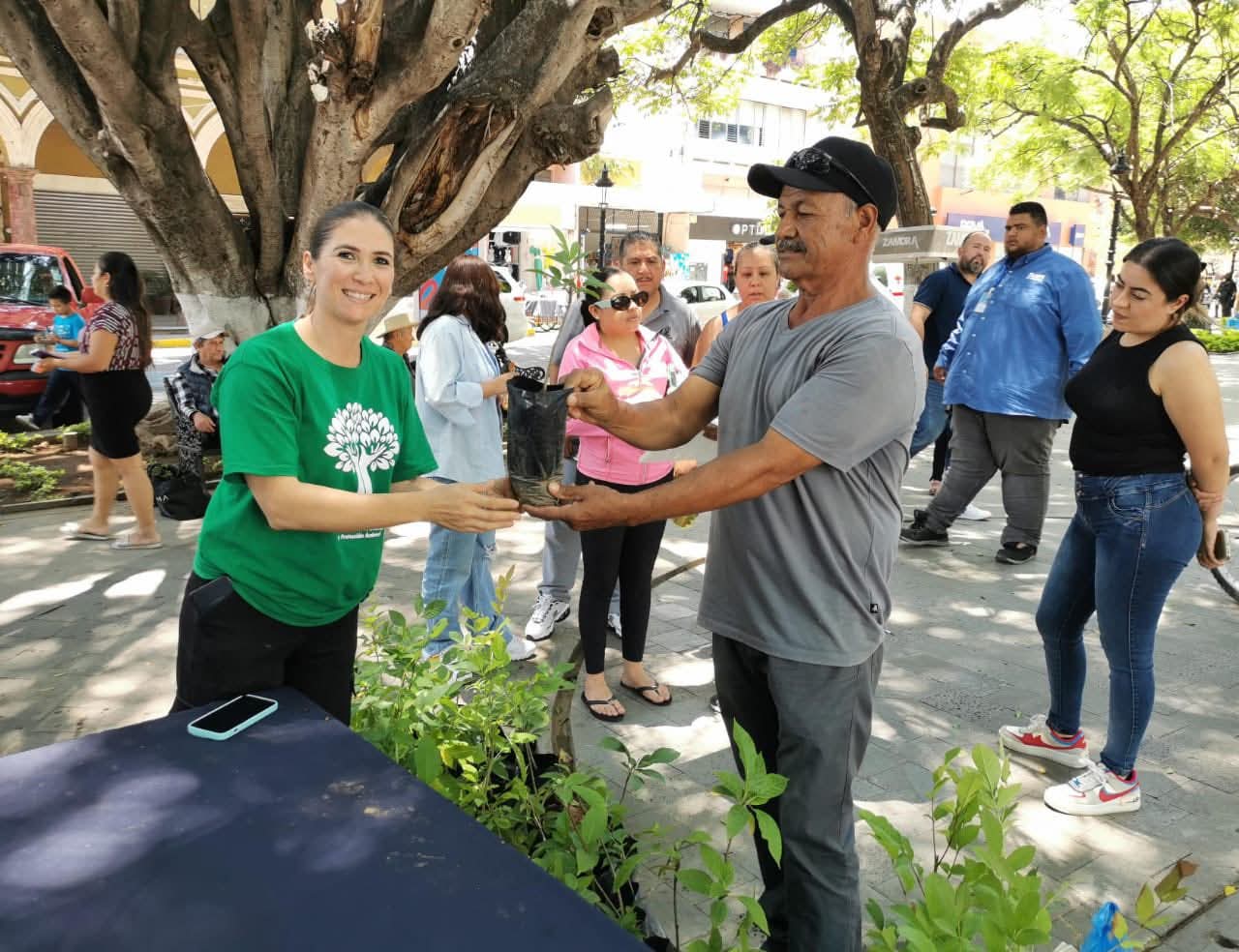 Donan 500 arbolitos en Zamora para promover la reforestación urbana