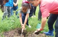 Siguen las acciones de reforestación en Los Sabinos y La Planta