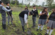 Fomentan conciencia ambiental con reforestación en el CBTA 290 de Ario de Rayón