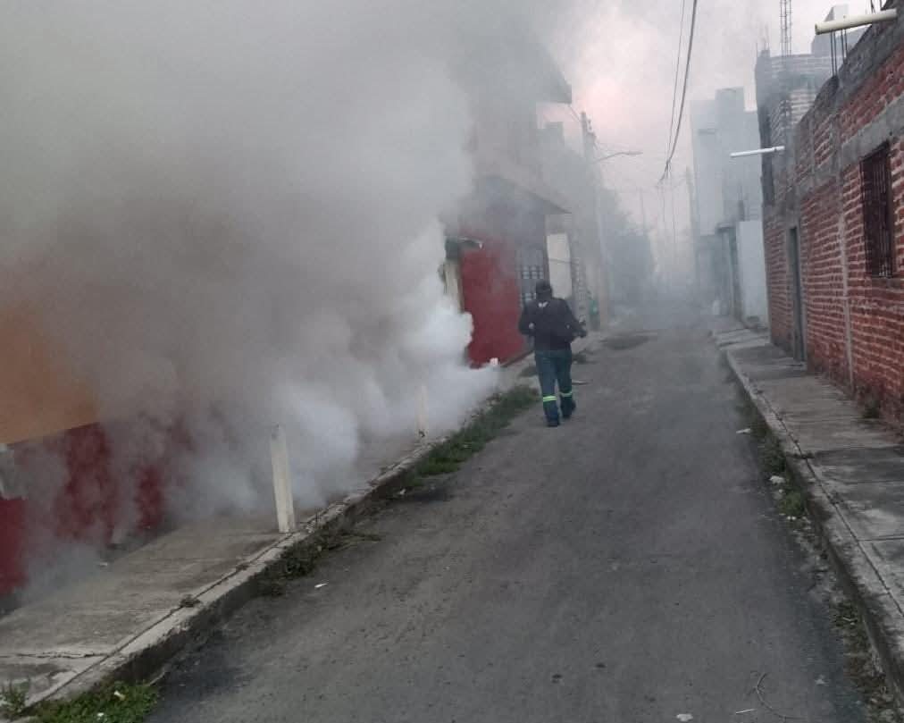 Refuerzan fumigación contra el dengue en Zamora