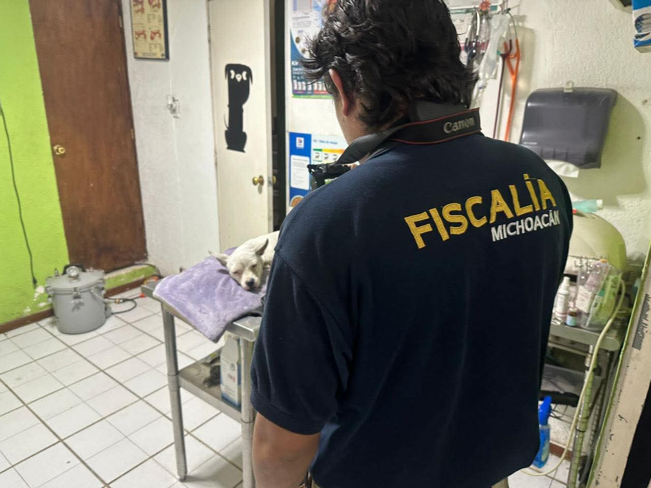 Investiga Fiscalía General hechos registrados al Norte de Morelia, por el delito de crueldad animal