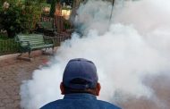 Lluvias incrementan presencia de mosquito transmisor de dengue