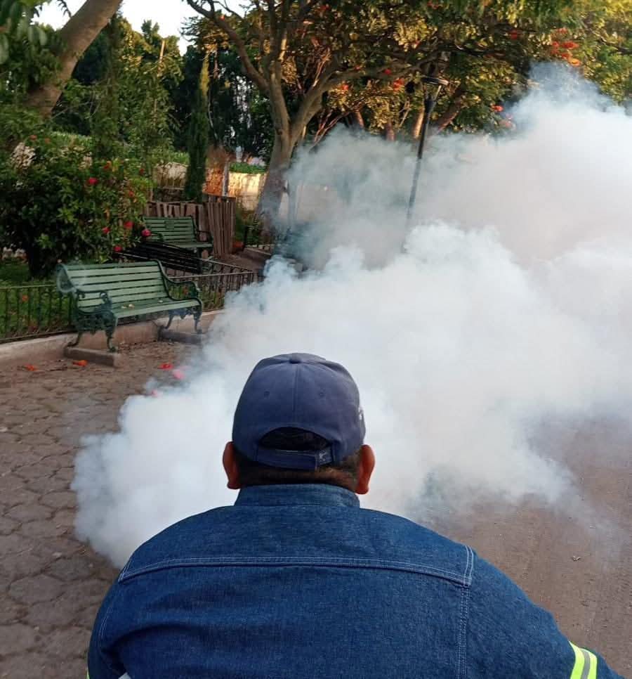 Lluvias incrementan presencia de mosquito transmisor de dengue