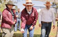 Reforestación con drones supera meta de 250 mil semillas sembradas: Bedolla