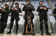 Binomios caninos de la Guardia Civil, aliados en el combate a la delincuencia: SSP