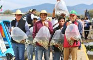 Estos productos de Michoacán recibirán protección con Indicación Geográfica