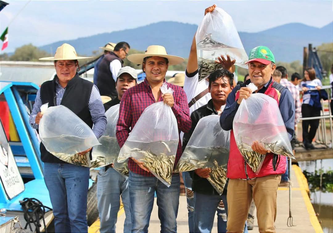 Estos productos de Michoacán recibirán protección con Indicación Geográfica