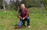 Apuesta Bedolla por desarrollo económico de Michoacán con ética ambiental y justicia