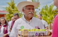 Michoacán, primer lugar nacional en producción de guayaba: Sader