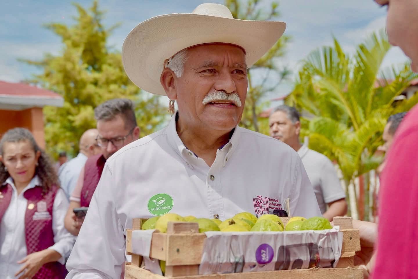 Michoacán, primer lugar nacional en producción de guayaba: Sader