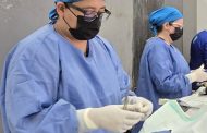 Anuncian nueva campaña gratuita de esterilizaciones para perros y gatos