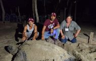 Llegan primeras tortugas laúd a la costa de Michoacán: Compesca