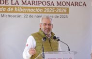 Abre Bedolla santuarios de la Monarca; llama a EUA y Canadá a acciones de conservación