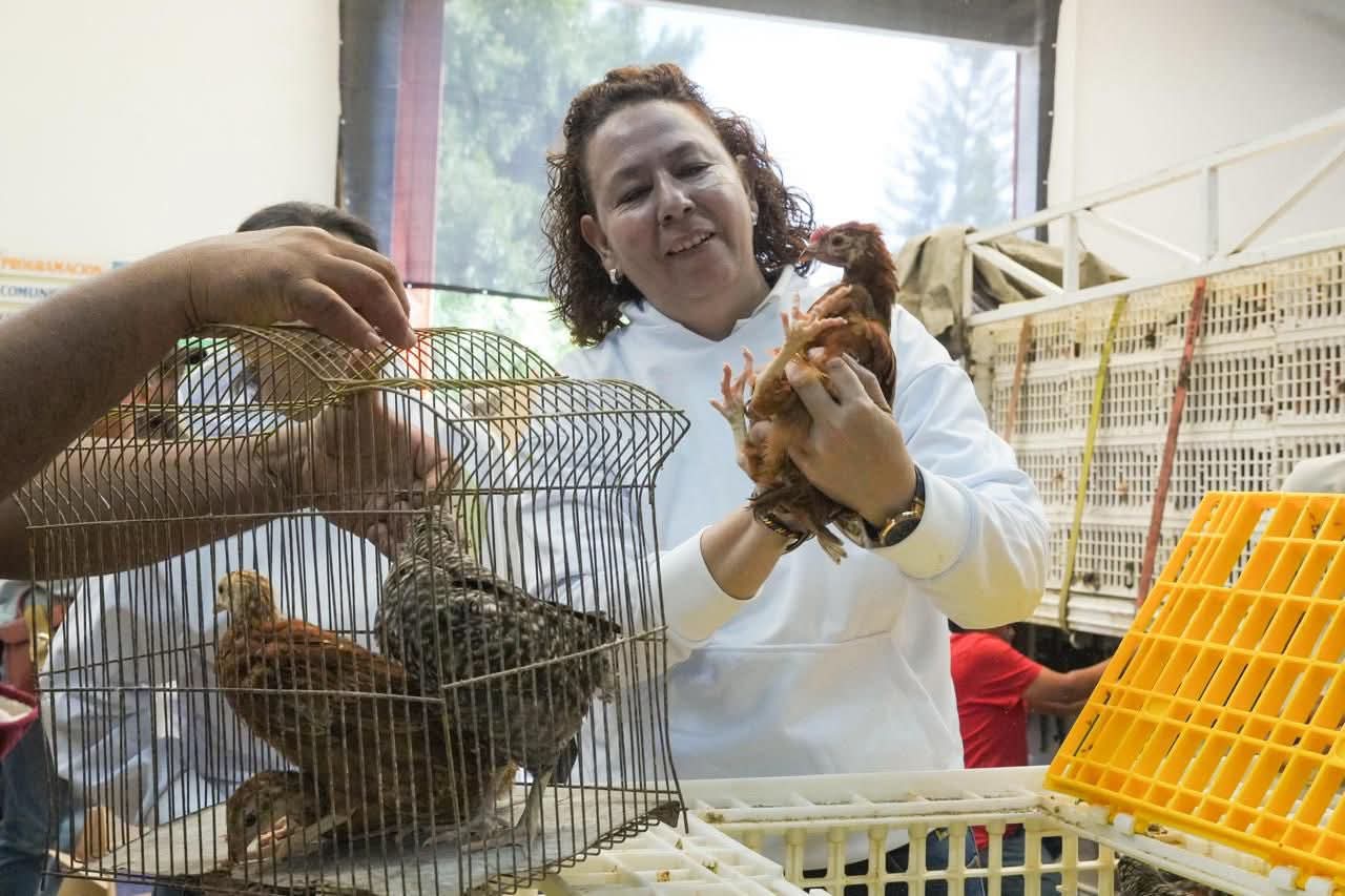 Agrosano ha entregado 150 mil aves e insumos para la soberanía alimentaria de 15 mil familias: Sader