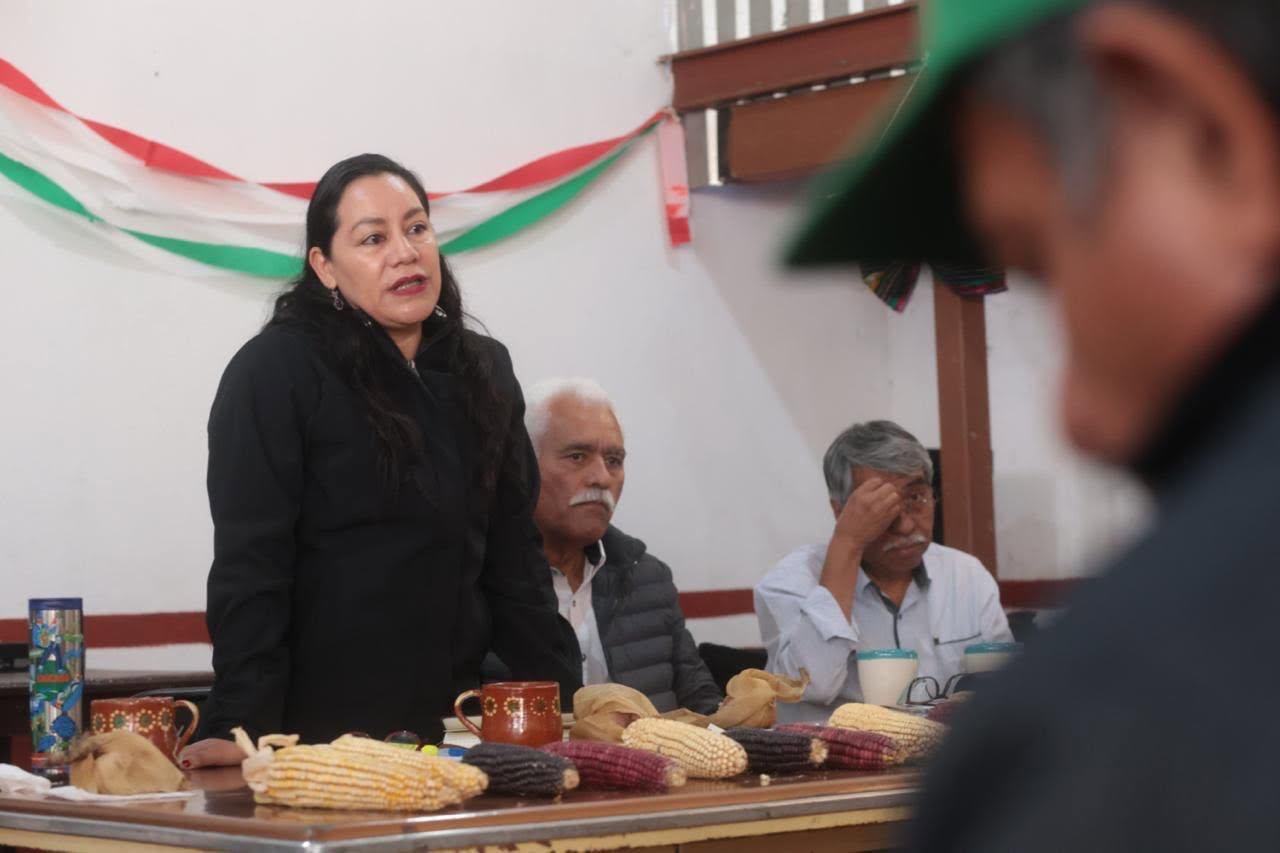 Programas federales beneficiarán al campo michoacano en 2026: Sader